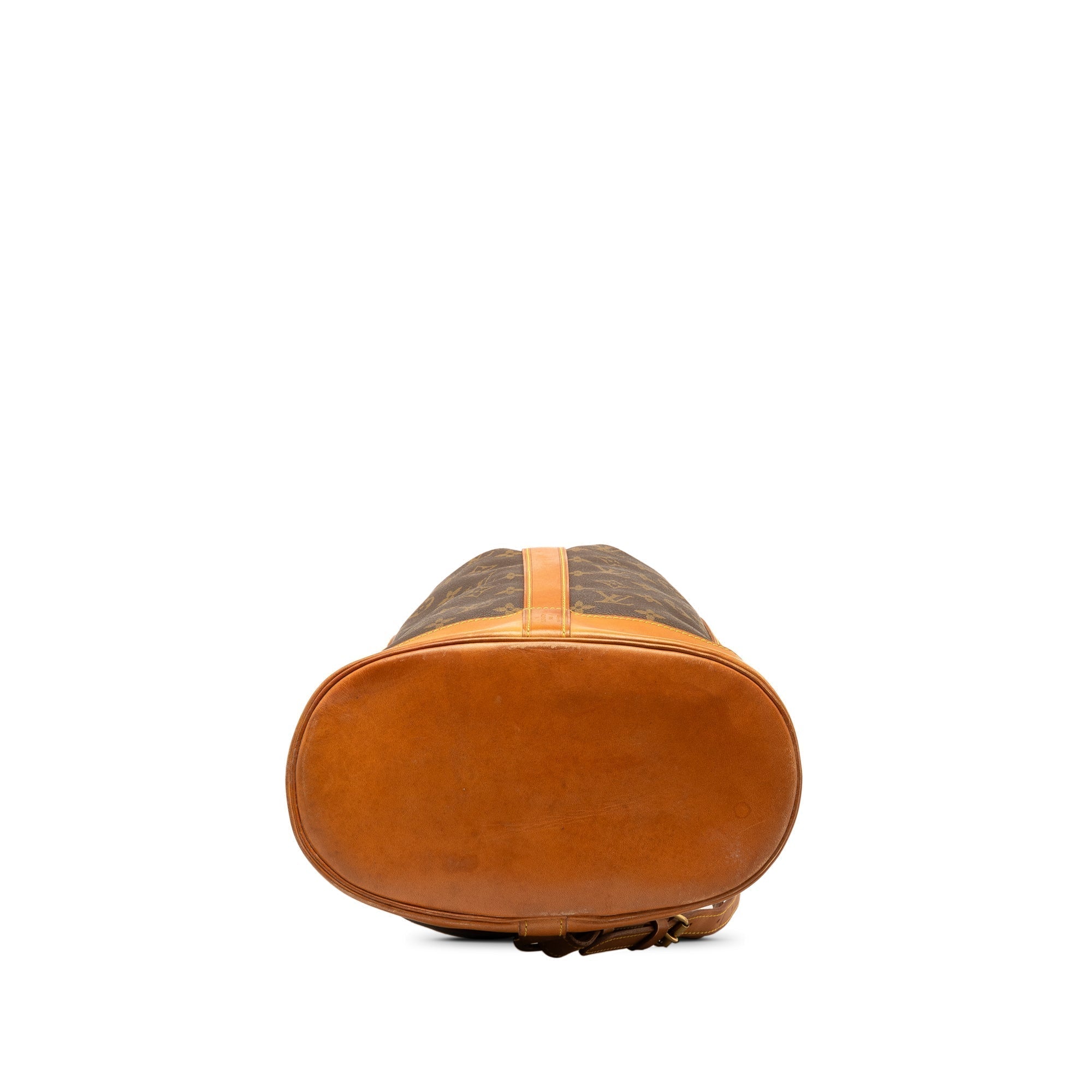 Brown LV Monogram Randonnee PM Bucket Bag