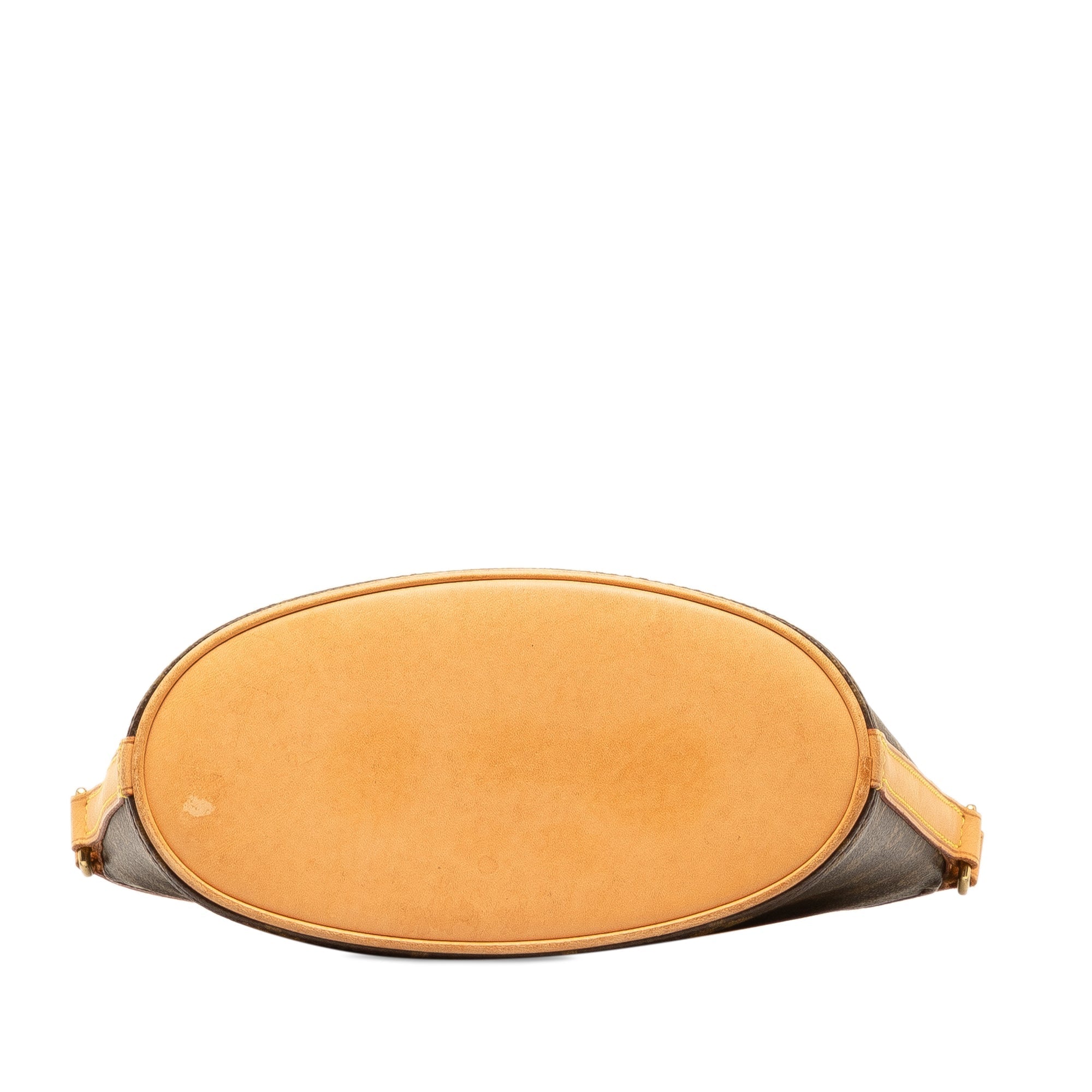 Brown LV Monogram Drouot Crossbody Bag
