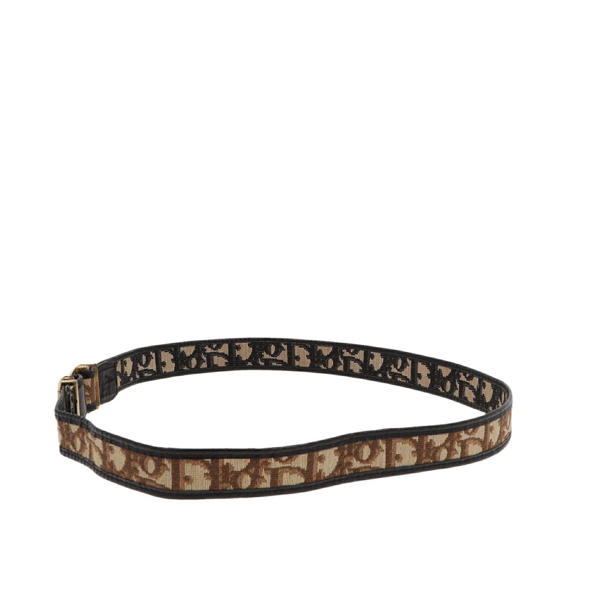 CHRISTIAN D1OR Belt in Beige Fabric