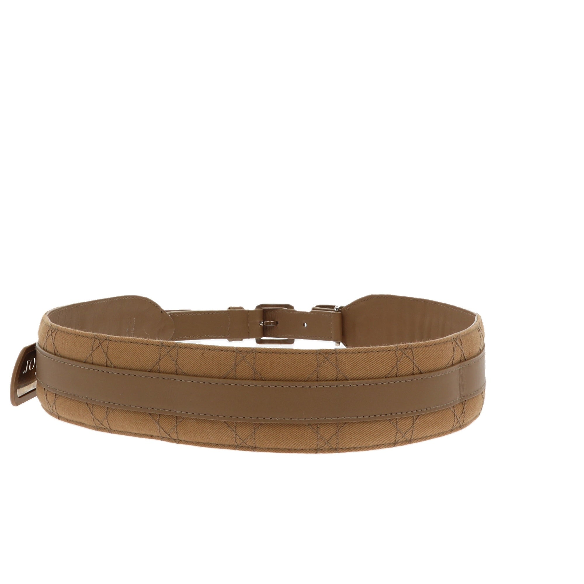 CHRISTIAN D1OR Belt in Brown Fabric