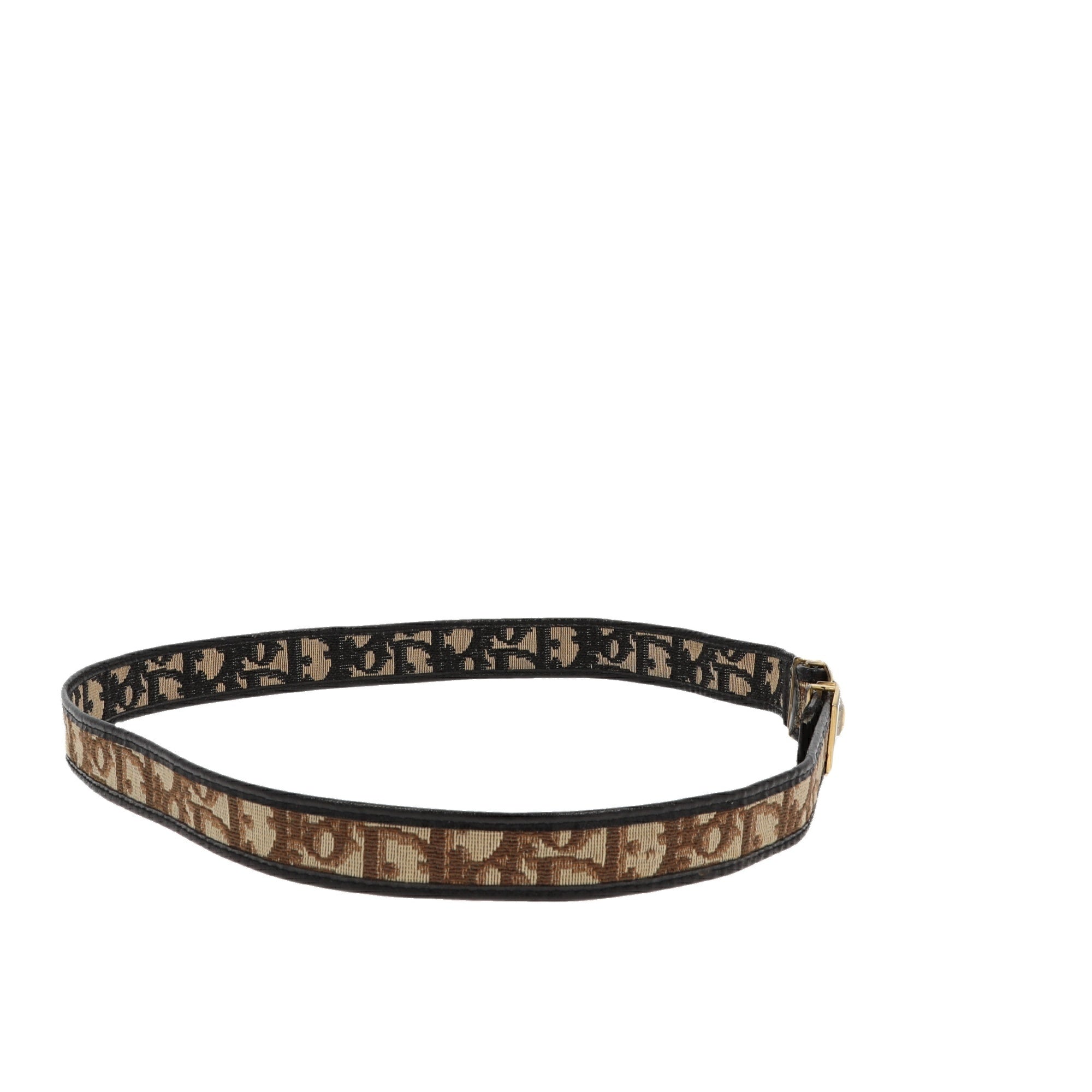 CHRISTIAN D1OR Belt in Beige Fabric