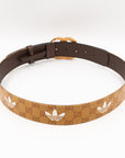 GG Marmont Belt GCCI x Adidas Yellow 85/34