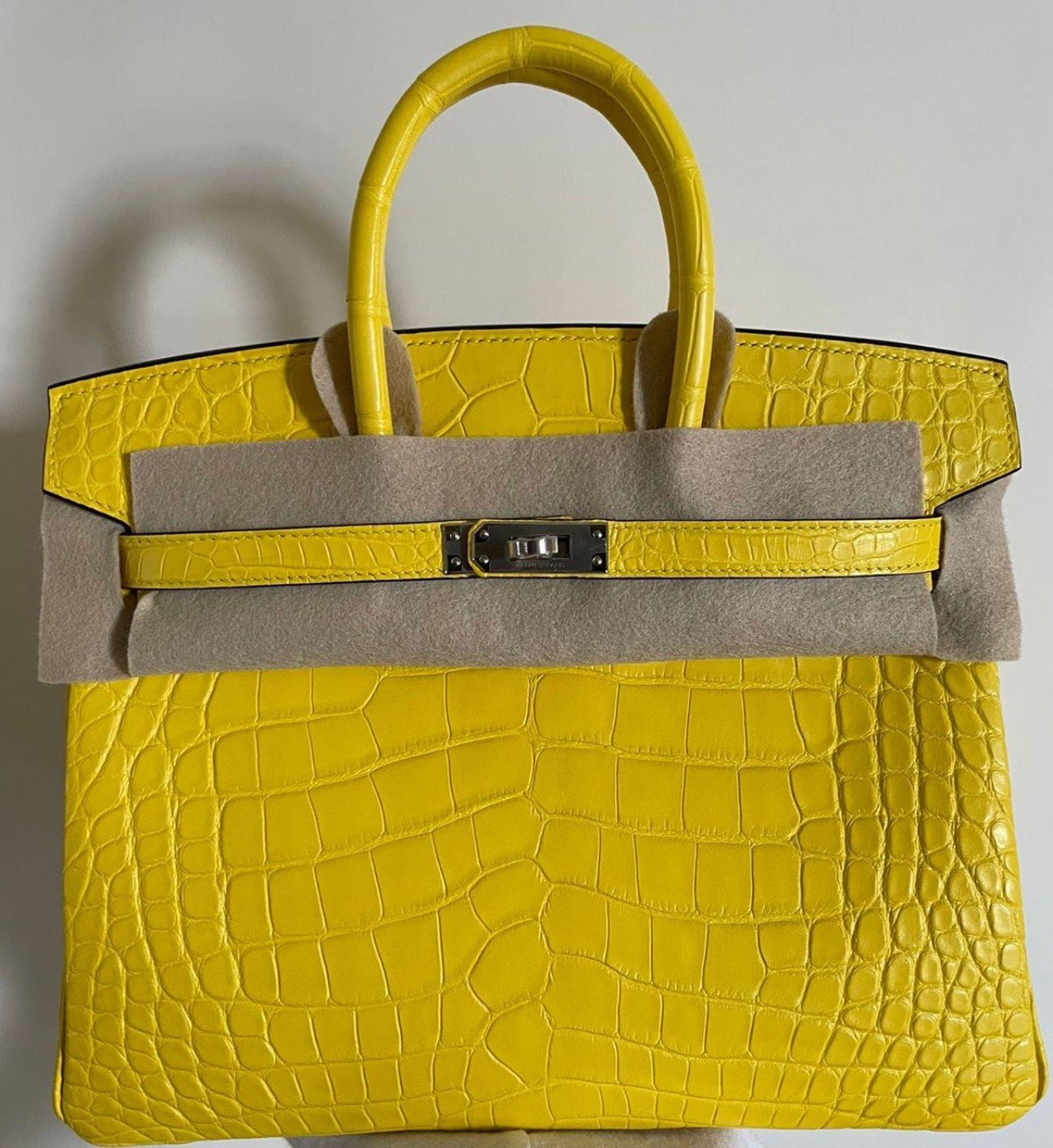 HMS Mimosa Matte Alligator Birkin 25cm Palladium Hardware