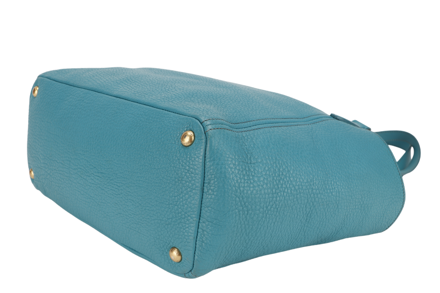 PRD BR4970 SHOULDER BAG PAVONE VITTELO DAINO LEATHER GOLD HARDWARE WITH CARD