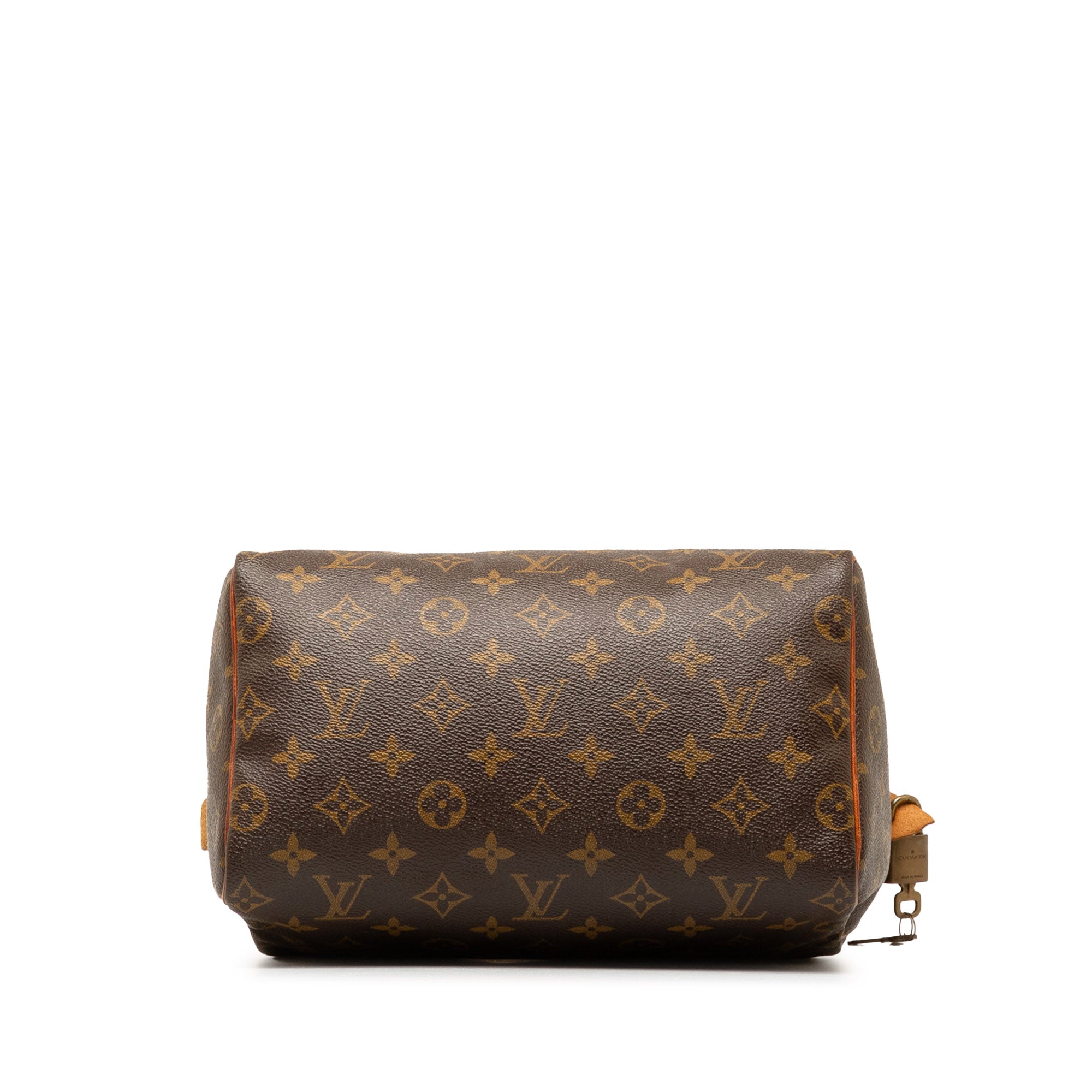 Brown LV Monogram Speedy 25 Boston Bag