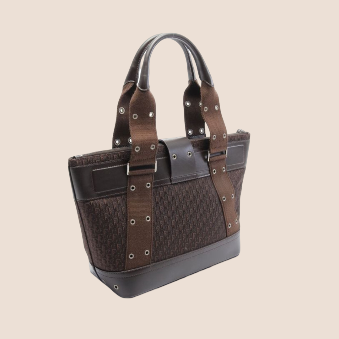 CHRISTIAN D1OR BROWN STREET CHIC TROTTER TOTE BAG