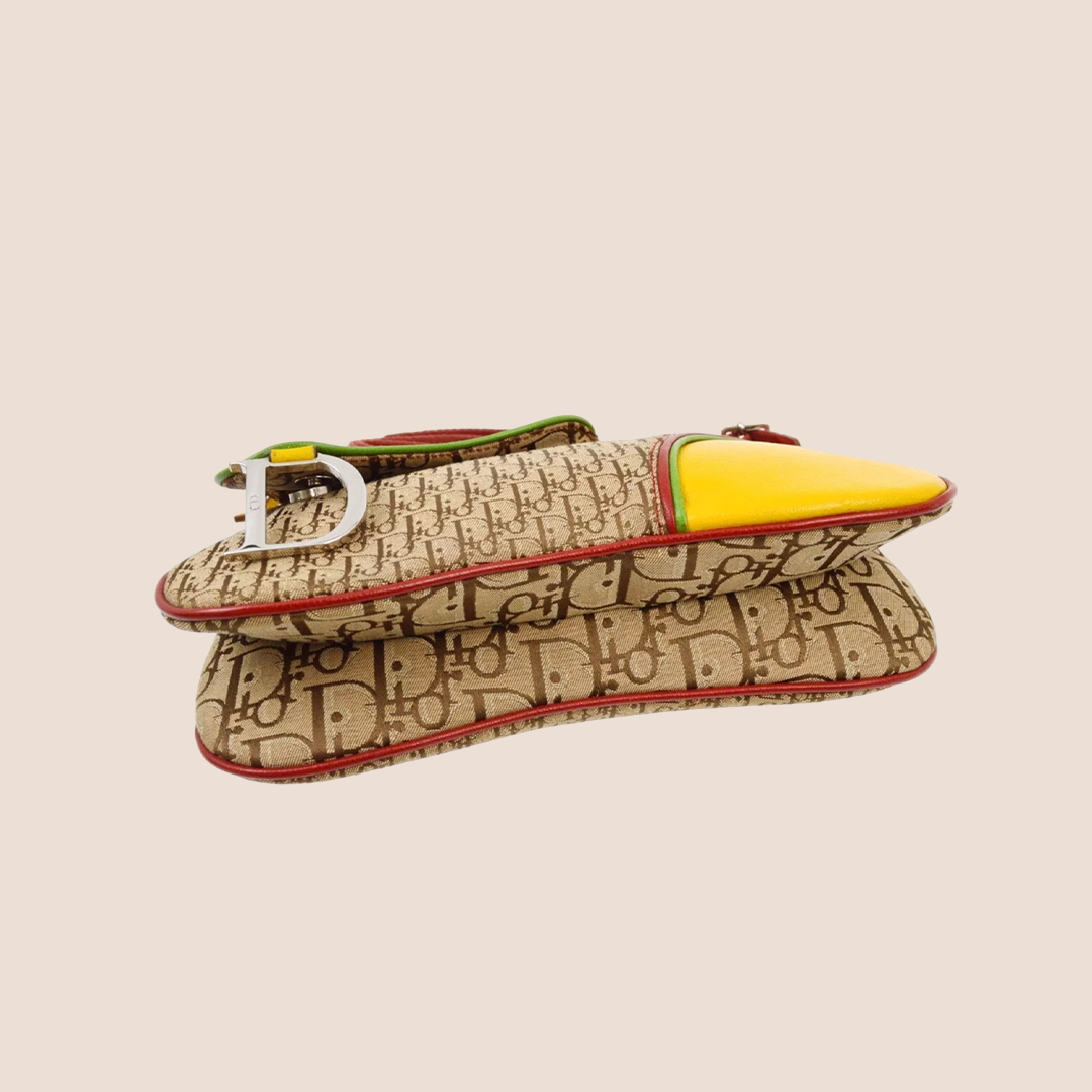 CHRISTIAN D1OR 2004 RASTA SADDLE SHOULDER BAG