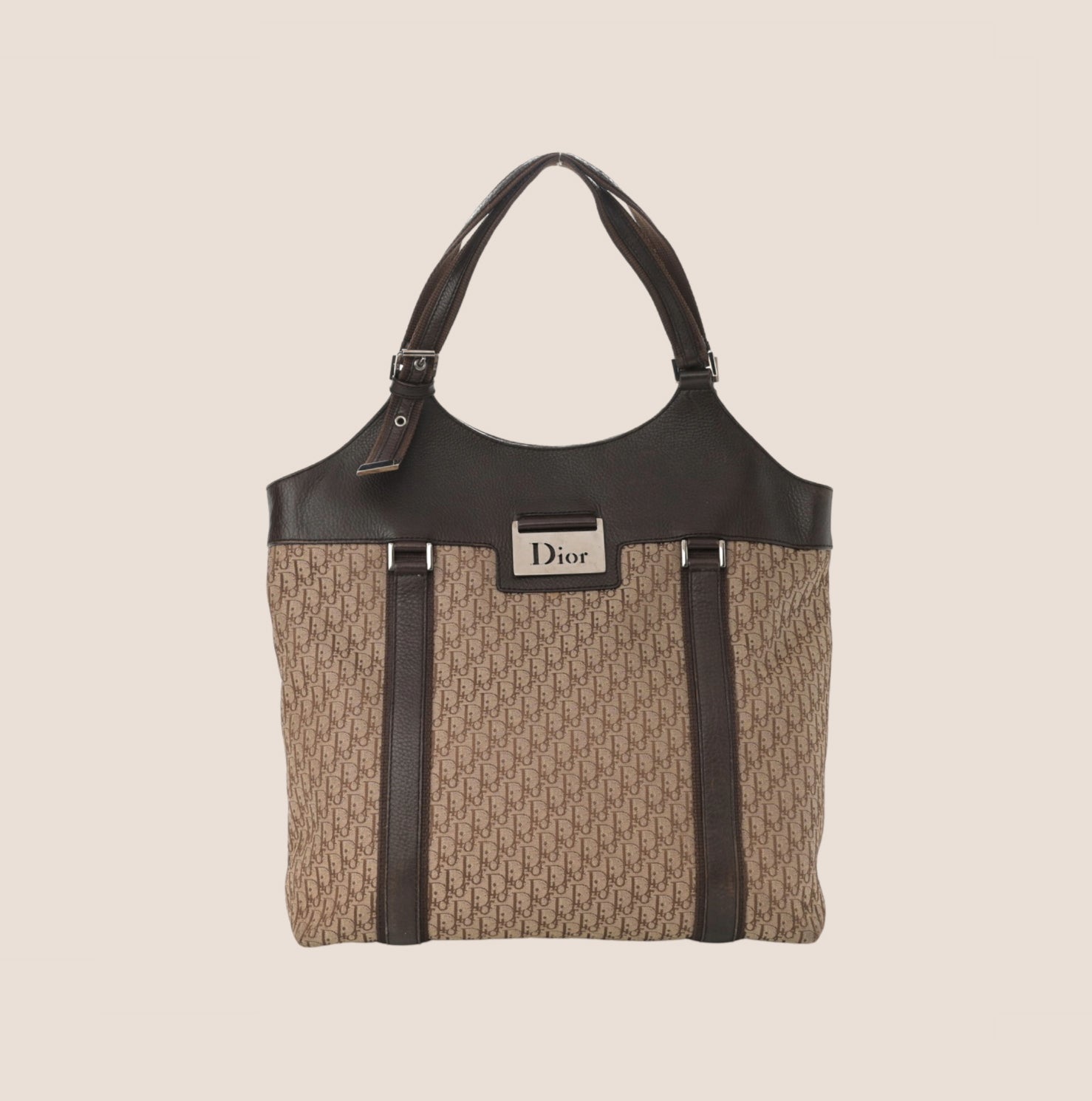 CHRISTIAN D1OR BROWN D1ORISSIMO STREET CHIC TOTE BAG