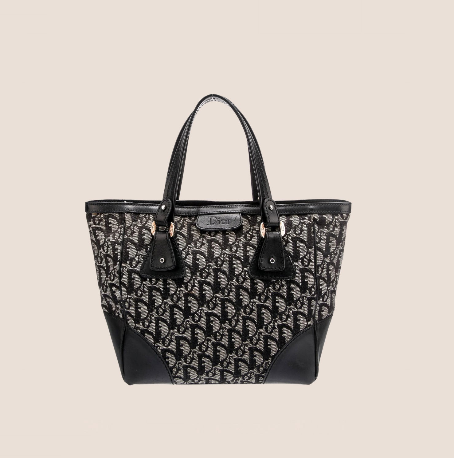 CHRISTIAN D1OR 2005 NAVY TROTTER TOTE BAG