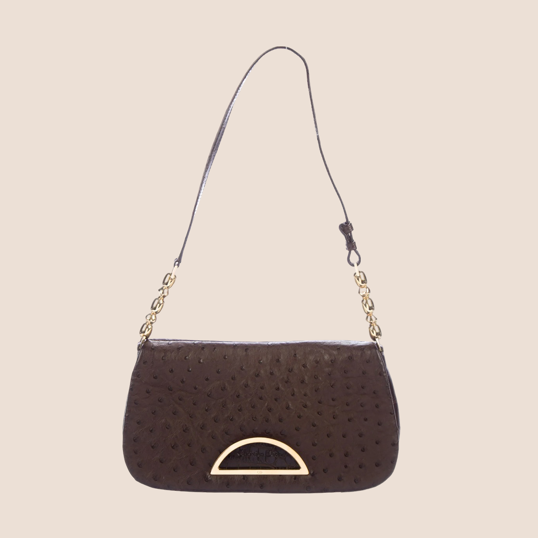 CHRISTIAN D1OR 2000 BROWN OSTRICH &amp; CROCODILE MALICE BAG