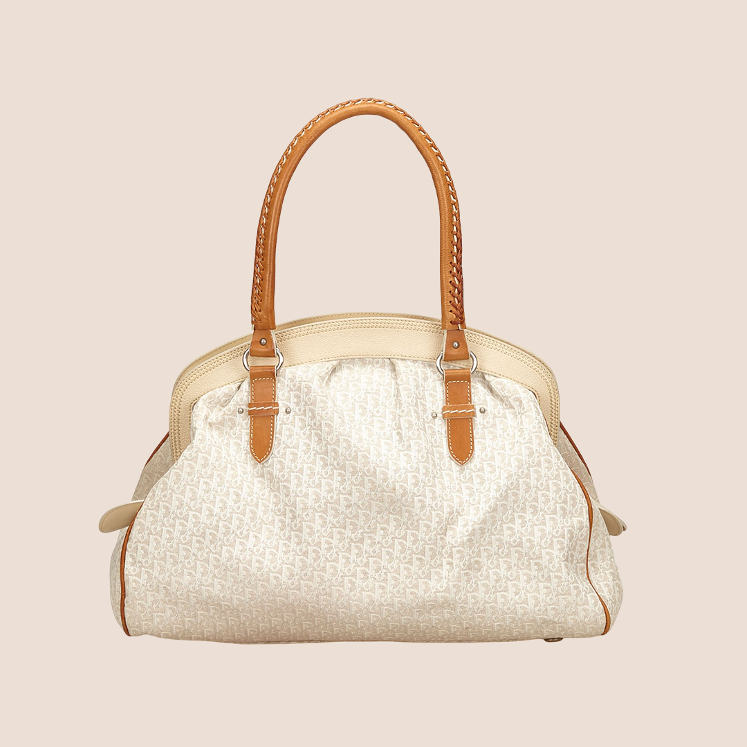 CHRISTIAN D1OR BICOLOR D1ORISSIMO CANVAS SATCHEL BAG