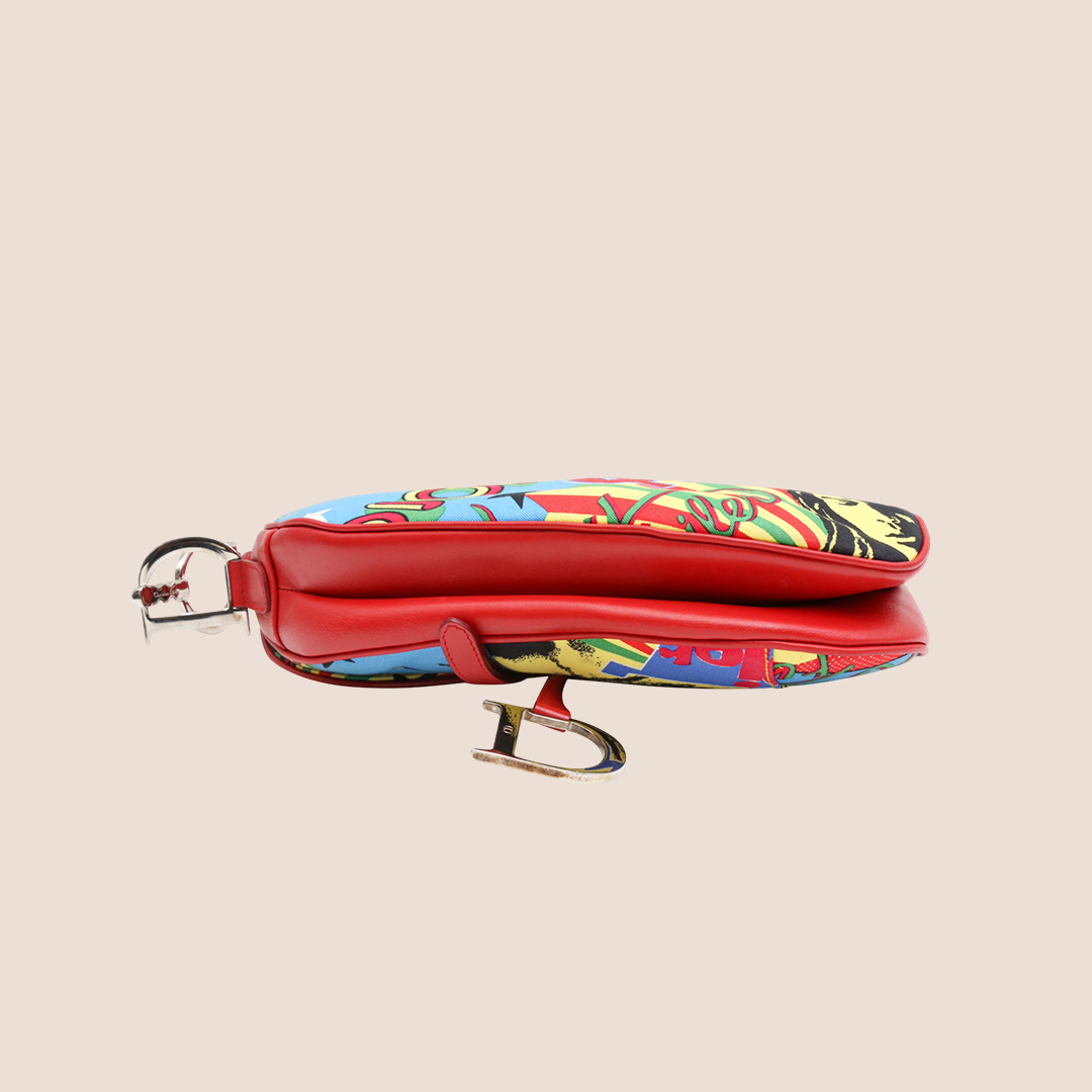 CHRISTIAN D1OR 2001 LIMITED EDITION RASTA MANIA SADDLE BAG