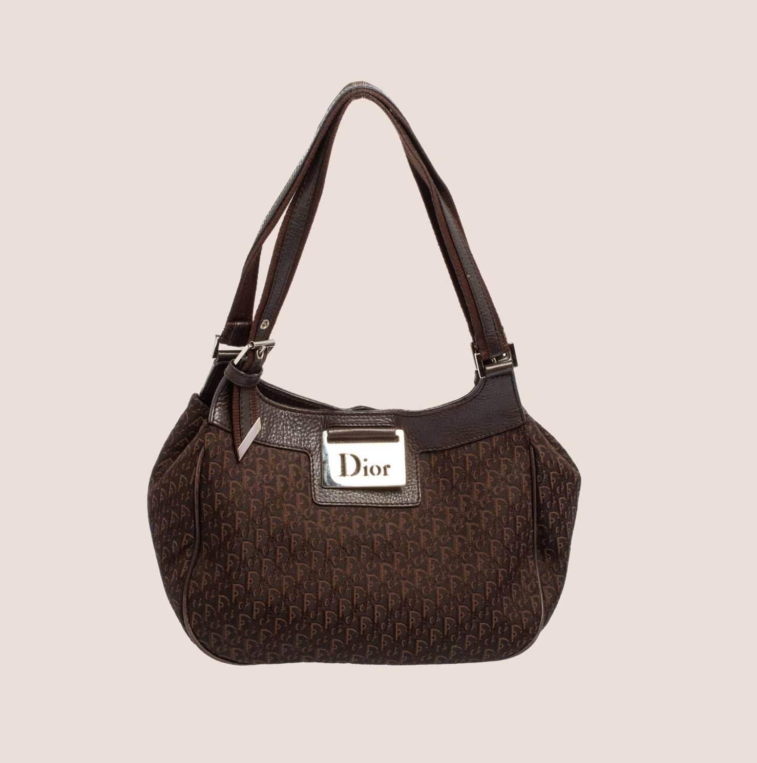 CHRISTIAN D1OR 2005 BROWN STREET CHIC D1ORISSIMO TOTE BAG