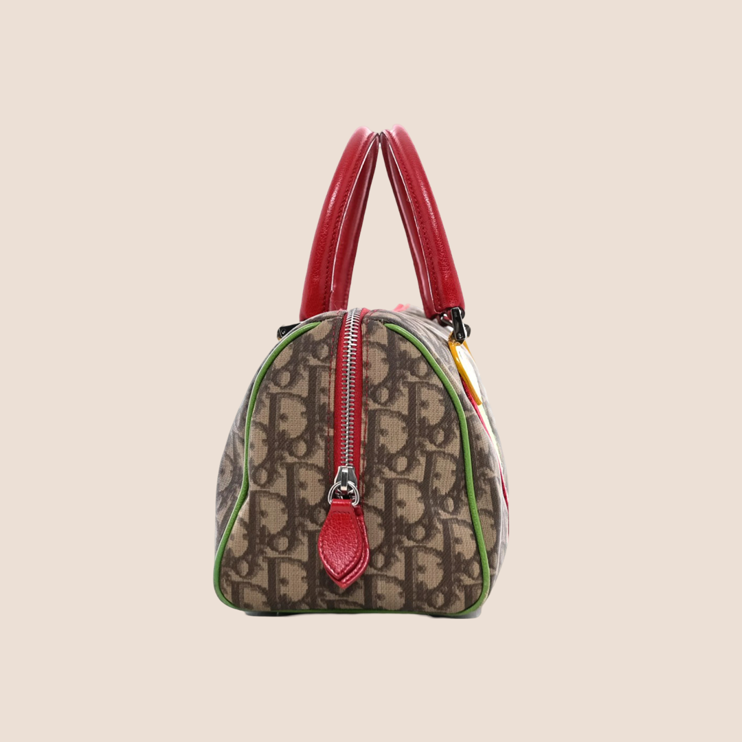 CHRISTIAN D1OR 2004 TROTTER RASTA BOSTON BAG