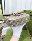 GCCI  Beige Mini Saddle Bag